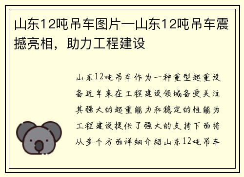 山东12吨吊车图片—山东12吨吊车震撼亮相，助力工程建设