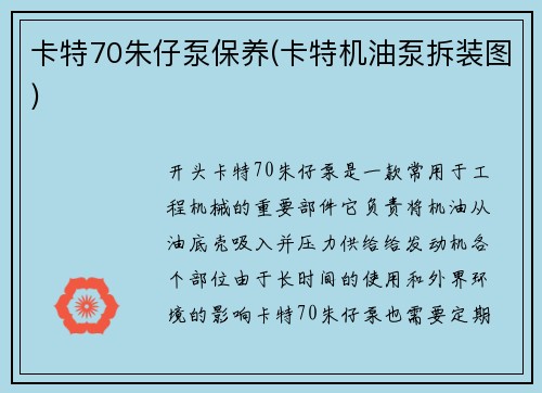 卡特70朱仔泵保养(卡特机油泵拆装图)
